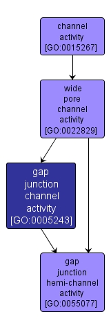 GO:0005243 - gap junction channel activity (interactive image map)