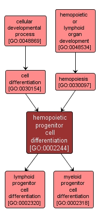 GO:0002244 - hemopoietic progenitor cell differentiation (interactive image map)