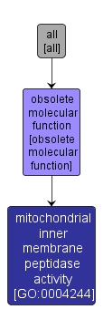 GO:0004244 - mitochondrial inner membrane peptidase activity (interactive image map)