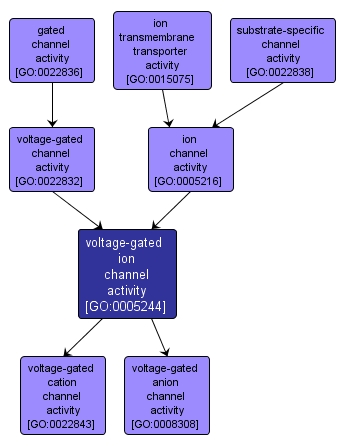 GO:0005244 - voltage-gated ion channel activity (interactive image map)