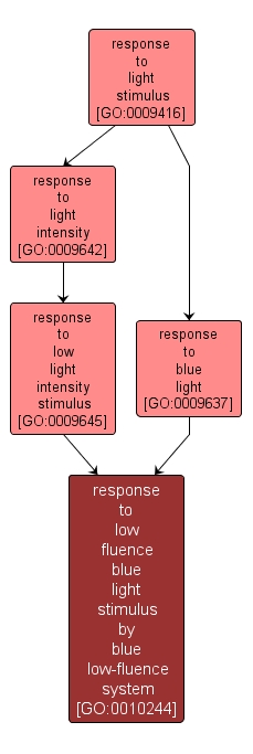 GO:0010244 - response to low fluence blue light stimulus by blue low-fluence system (interactive image map)