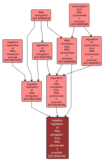 GO:0034244 - negative regulation of RNA elongation from RNA polymerase II promoter (interactive image map)