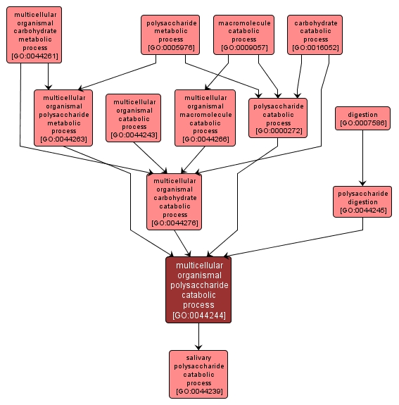 GO:0044244 - multicellular organismal polysaccharide catabolic process (interactive image map)