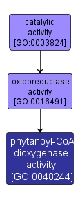 GO:0048244 - phytanoyl-CoA dioxygenase activity (interactive image map)