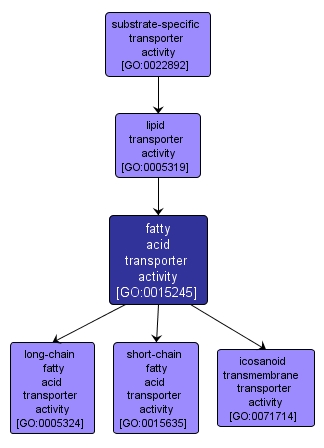 GO:0015245 - fatty acid transporter activity (interactive image map)