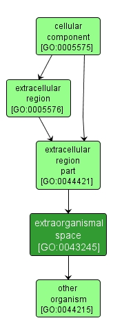 GO:0043245 - extraorganismal space (interactive image map)