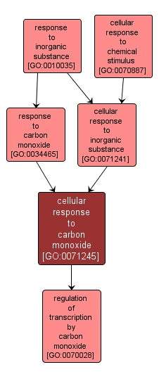 GO:0071245 - cellular response to carbon monoxide (interactive image map)