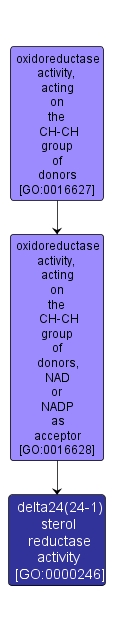 GO:0000246 - delta24(24-1) sterol reductase activity (interactive image map)