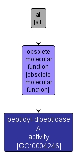 GO:0004246 - peptidyl-dipeptidase A activity (interactive image map)