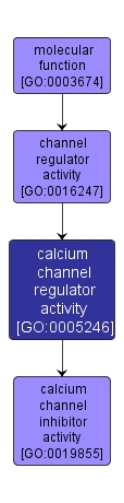 GO:0005246 - calcium channel regulator activity (interactive image map)