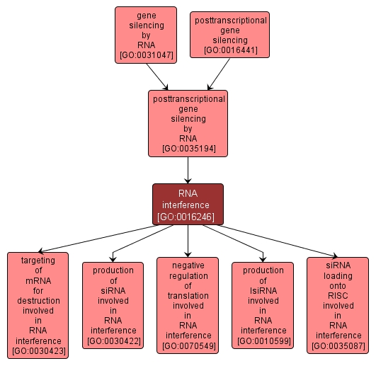 GO:0016246 - RNA interference (interactive image map)