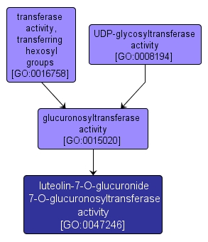 GO:0047246 - luteolin-7-O-glucuronide 7-O-glucuronosyltransferase activity (interactive image map)