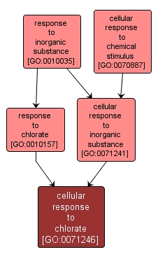 GO:0071246 - cellular response to chlorate (interactive image map)