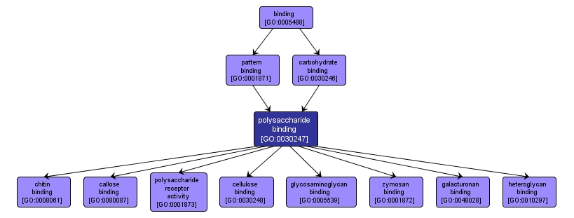 GO:0030247 - polysaccharide binding (interactive image map)