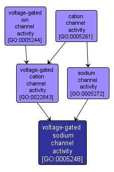 GO:0005248 - voltage-gated sodium channel activity (interactive image map)