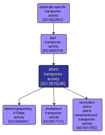 GO:0015248 - sterol transporter activity (interactive image map)