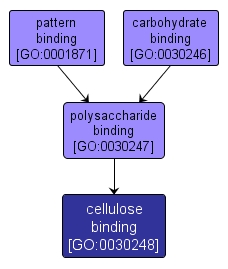 GO:0030248 - cellulose binding (interactive image map)