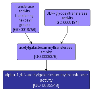 GO:0035248 - alpha-1,4-N-acetylgalactosaminyltransferase activity (interactive image map)