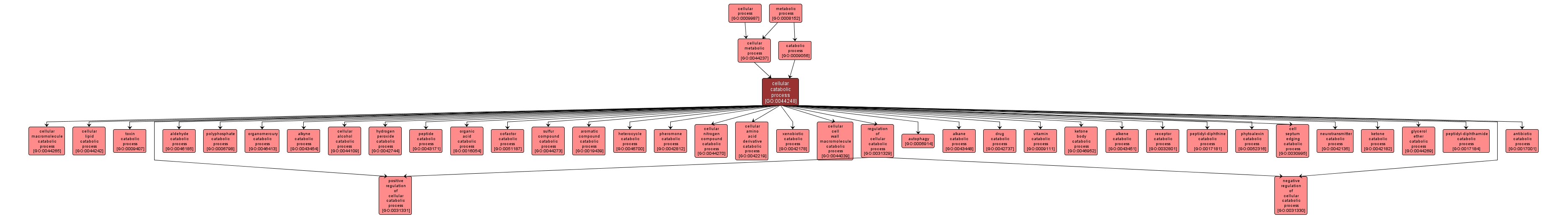 GO:0044248 - cellular catabolic process (interactive image map)