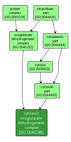 GO:0045248 - cytosolic oxoglutarate dehydrogenase complex (interactive image map)