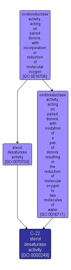 GO:0000249 - C-22 sterol desaturase activity (interactive image map)