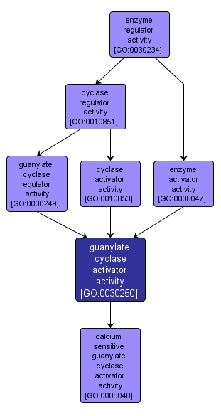 GO:0030250 - guanylate cyclase activator activity (interactive image map)