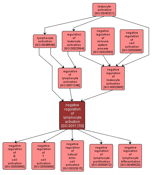 GO:0051250 - negative regulation of lymphocyte activation (interactive image map)
