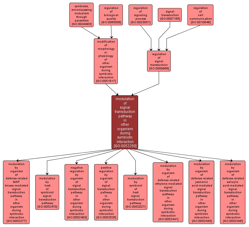 GO:0052250 - modulation of signal transduction pathway in other organism during symbiotic interaction (interactive image map)
