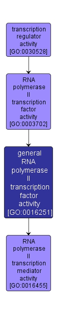 GO:0016251 - general RNA polymerase II transcription factor activity (interactive image map)