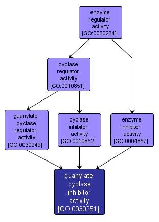 GO:0030251 - guanylate cyclase inhibitor activity (interactive image map)