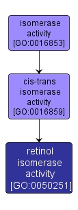 GO:0050251 - retinol isomerase activity (interactive image map)
