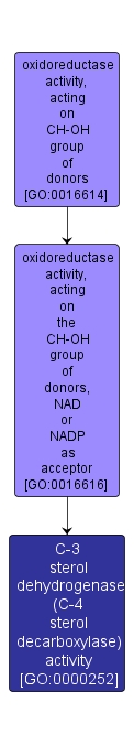 GO:0000252 - C-3 sterol dehydrogenase (C-4 sterol decarboxylase) activity (interactive image map)