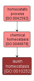 GO:0010252 - auxin homeostasis (interactive image map)