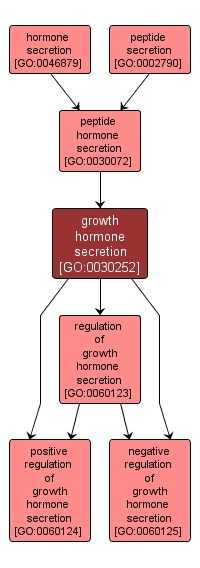 GO:0030252 - growth hormone secretion (interactive image map)
