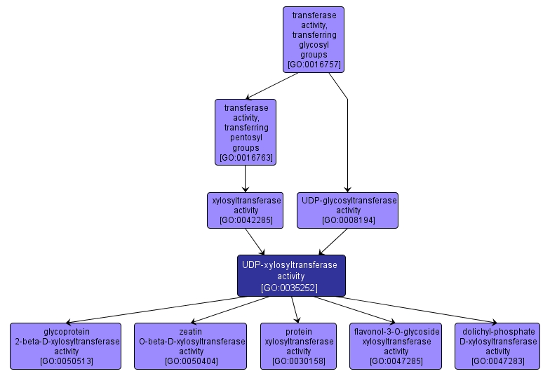 GO:0035252 - UDP-xylosyltransferase activity (interactive image map)