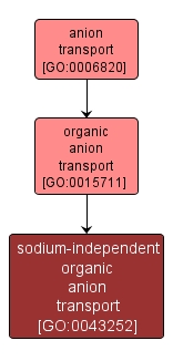 GO:0043252 - sodium-independent organic anion transport (interactive image map)