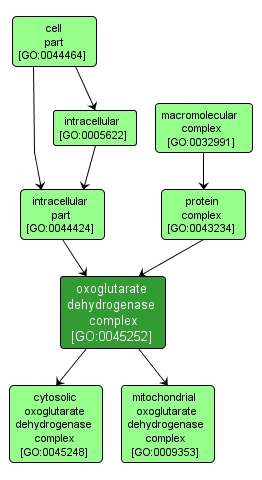 GO:0045252 - oxoglutarate dehydrogenase complex (interactive image map)