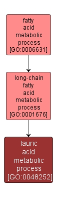 GO:0048252 - lauric acid metabolic process (interactive image map)