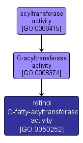 GO:0050252 - retinol O-fatty-acyltransferase activity (interactive image map)