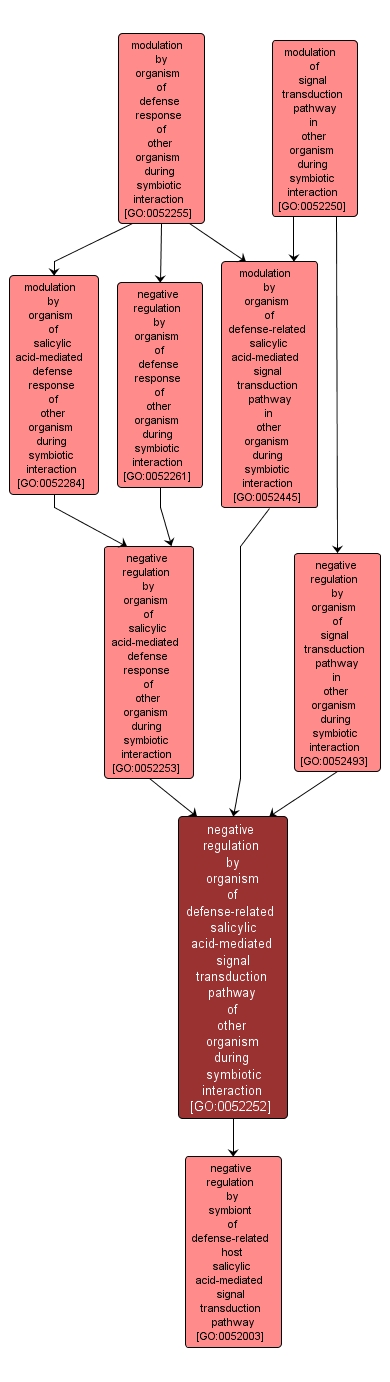 GO:0052252 - negative regulation by organism of defense-related salicylic acid-mediated signal transduction pathway of other organism during symbiotic interaction (interactive image map)