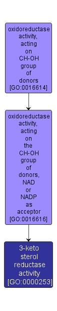 GO:0000253 - 3-keto sterol reductase activity (interactive image map)