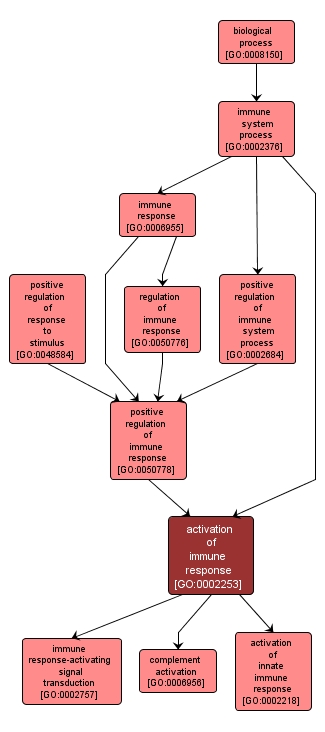 GO:0002253 - activation of immune response (interactive image map)