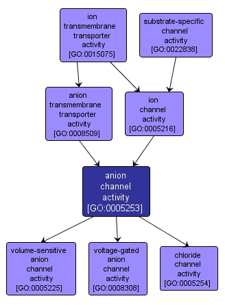 GO:0005253 - anion channel activity (interactive image map)