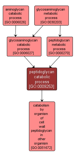 GO:0009253 - peptidoglycan catabolic process (interactive image map)
