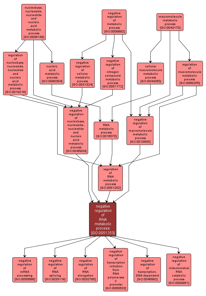 GO:0051253 - negative regulation of RNA metabolic process (interactive image map)