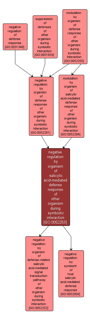 GO:0052253 - negative regulation by organism of salicylic acid-mediated defense response of other organism during symbiotic interaction (interactive image map)