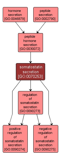 GO:0070253 - somatostatin secretion (interactive image map)
