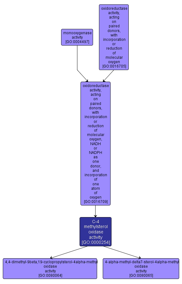 GO:0000254 - C-4 methylsterol oxidase activity (interactive image map)