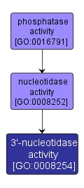 GO:0008254 - 3'-nucleotidase activity (interactive image map)