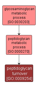 GO:0009254 - peptidoglycan turnover (interactive image map)